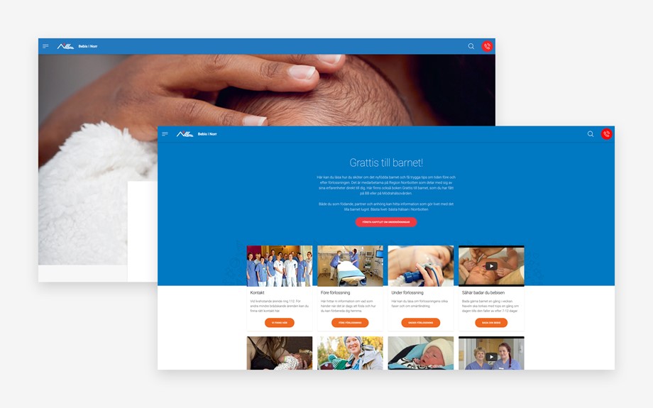 BIN-mockup-web-2.jpg