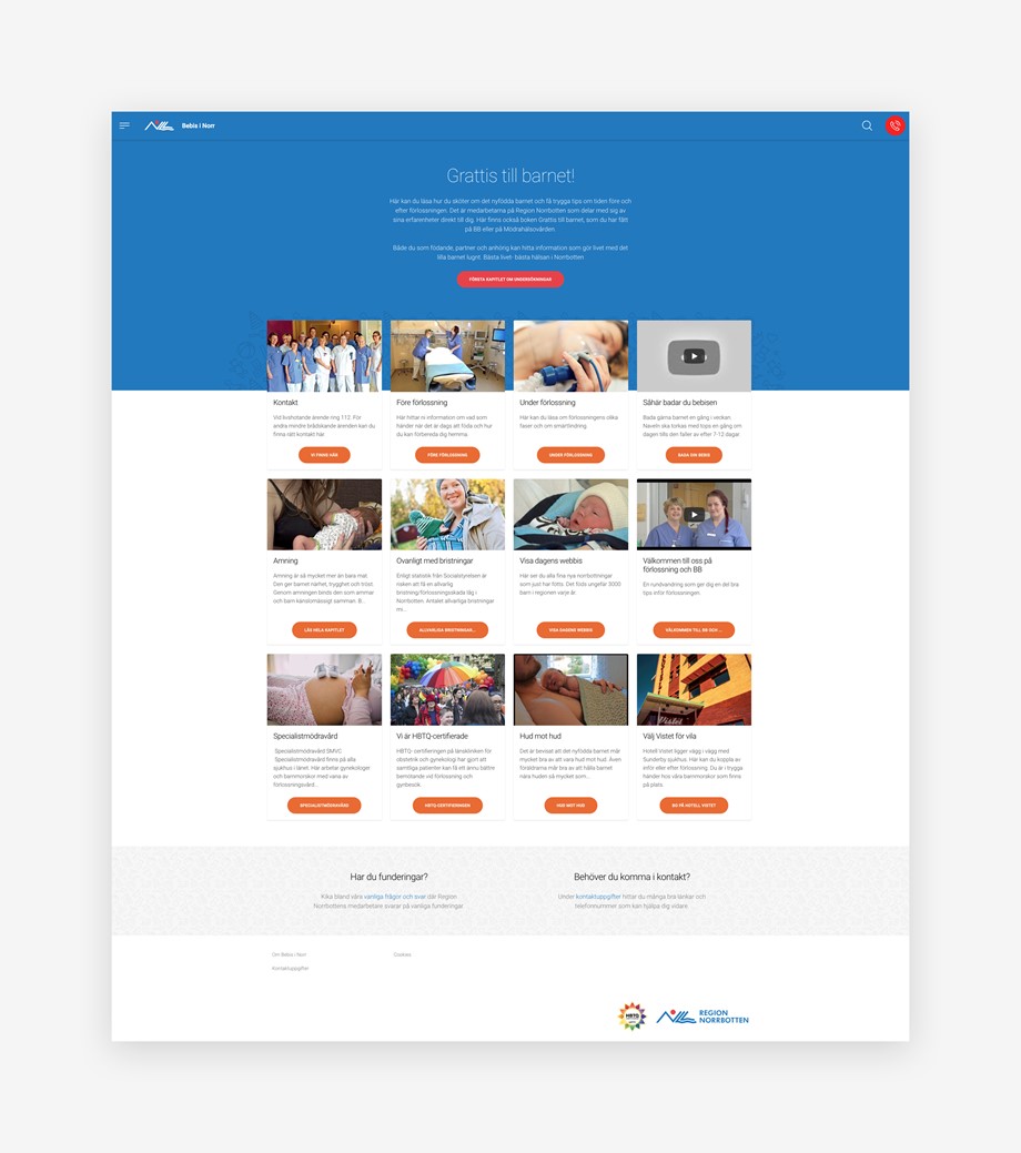 BIN-mockup-web-1.jpg