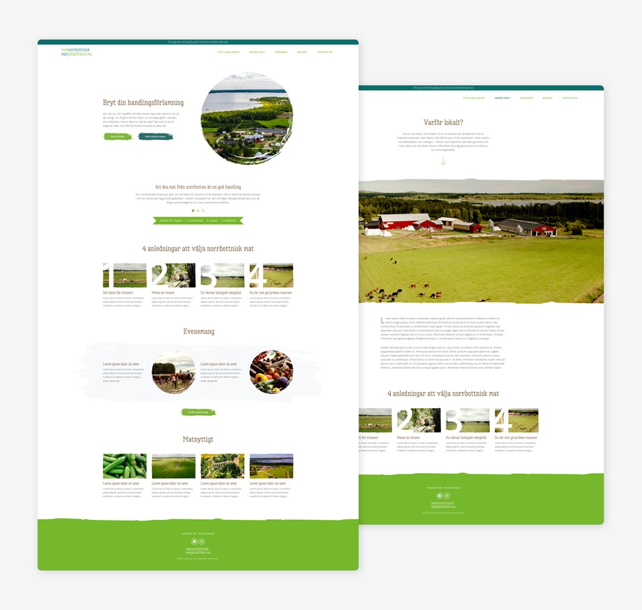 mnmpt-web-1.jpg