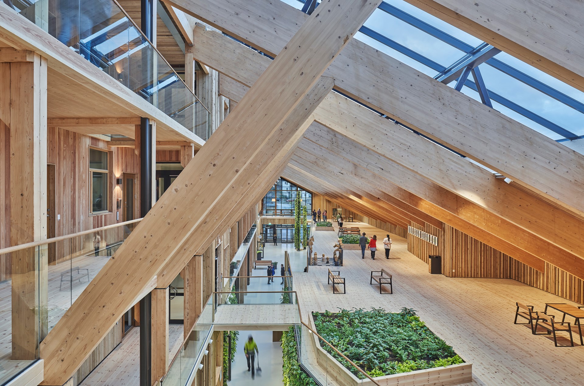 Bild webb_Woodlife_Wellbeing_Lindesberg hälsocentrum_FOTO Åke Eson Lindman.jpg
