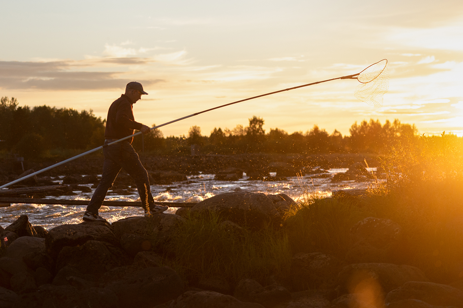 Lippomies Kukkolankoskella 2.jpg