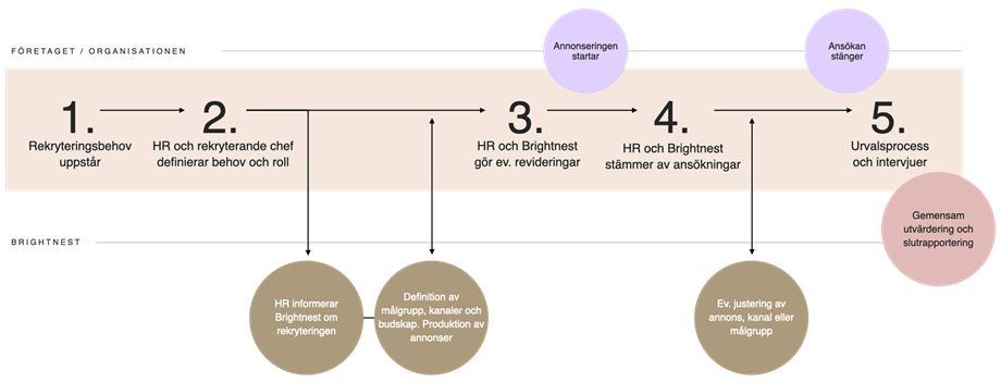 brtnst_rekryteringsprocess.png