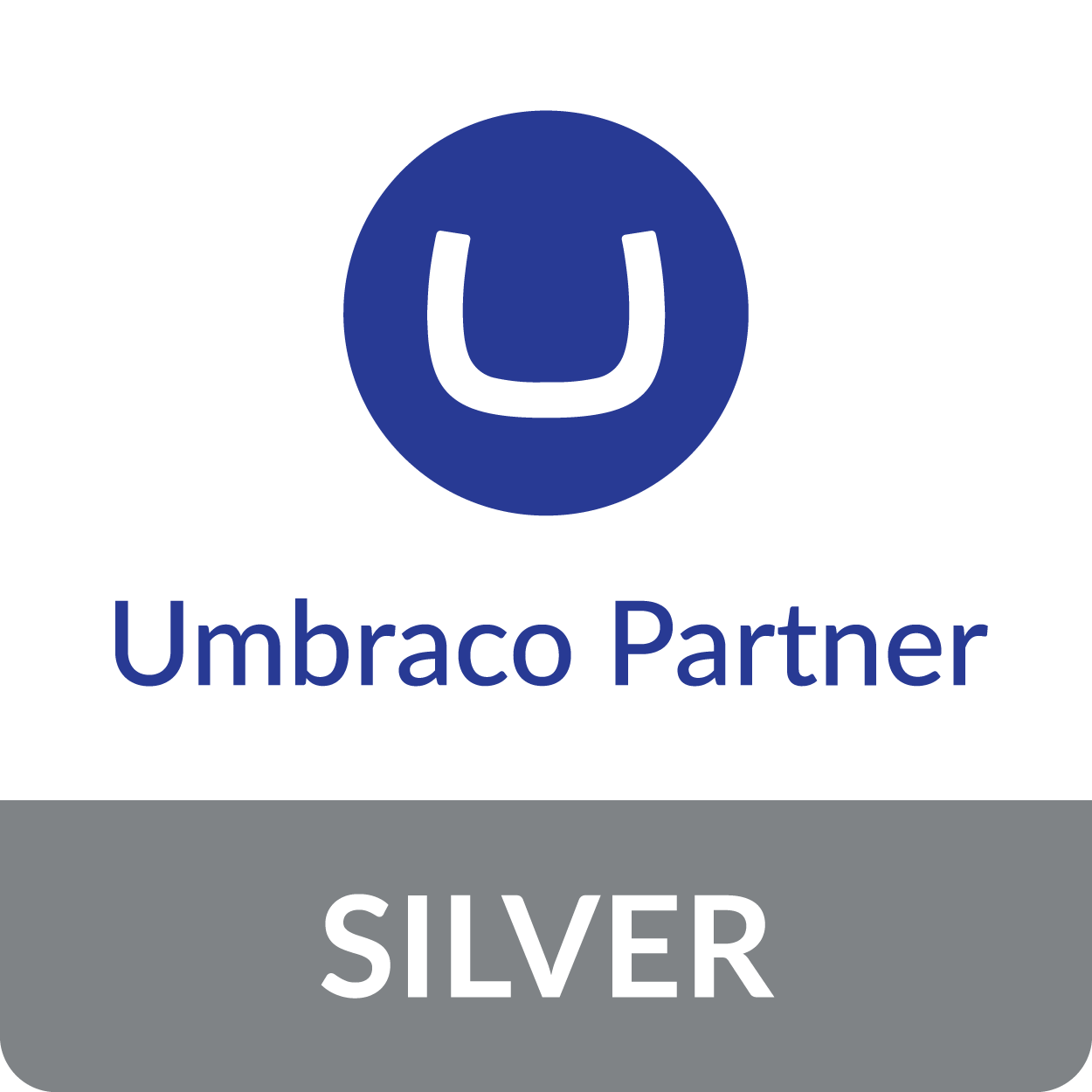 umbraco-partner-silver.png